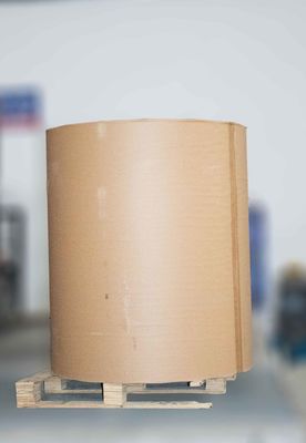 移動性粘着剤 熱ラベルステッカーロール 普通 粘着性熱伝送ロール
