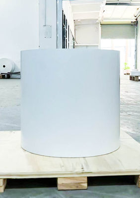 良い値段 オイルグリーフ タイプ 合成ラベル 素材 透明 ロールラベル 普通 粘着性 オンライン