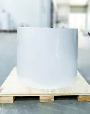 良い値段 移動型粘着剤 コーティングされたラベル紙 紙ロールラベル 80u 表面厚さ オンライン